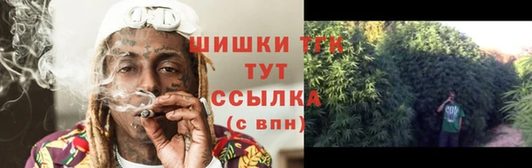 молекула духа Надым
