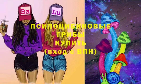 твердый Алексеевка