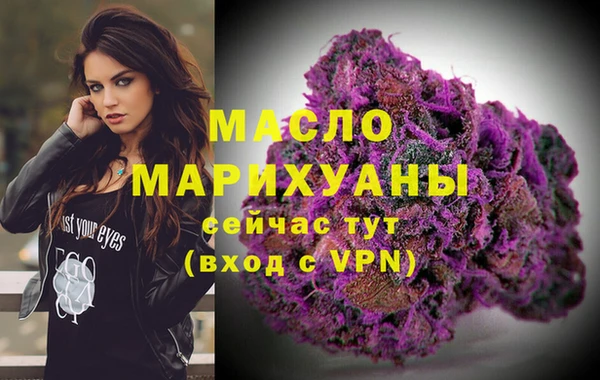 молекула духа Надым