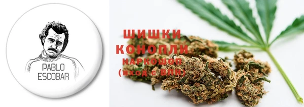 молекула духа Надым