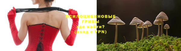 молекула духа Надым