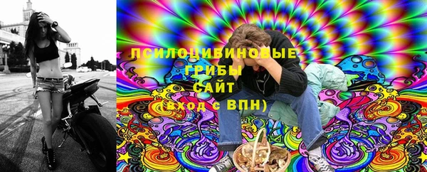 молекула духа Надым