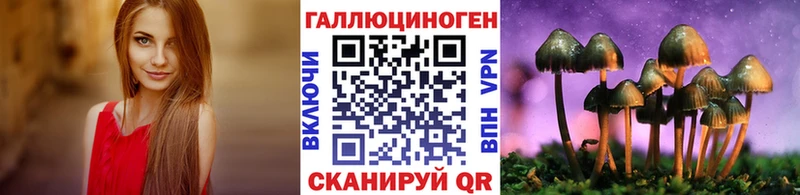 MEGA зеркало  Голицыно  Псилоцибиновые грибы Psilocybine cubensis 